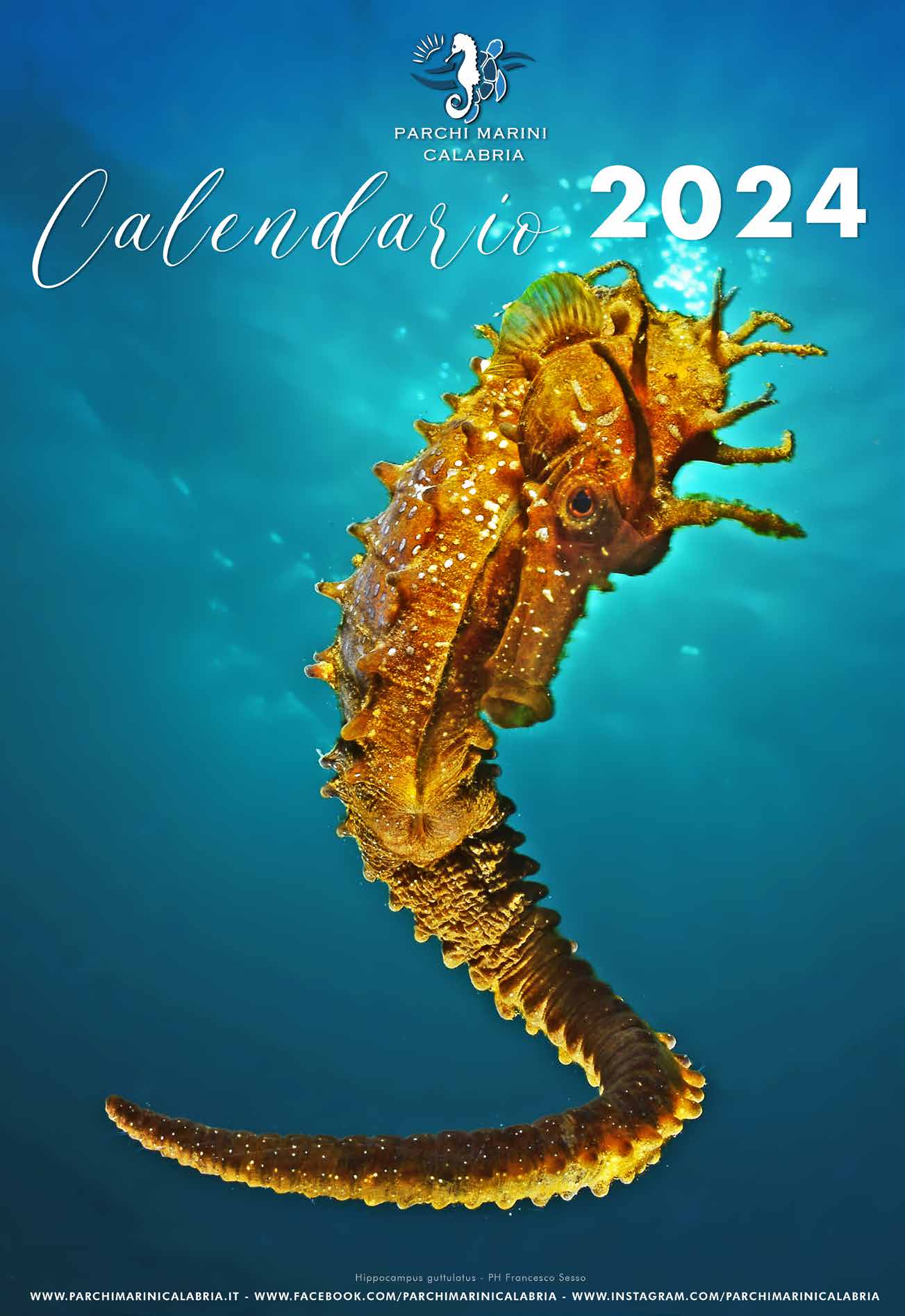 Calendario Parchi Marini Calabria 2024