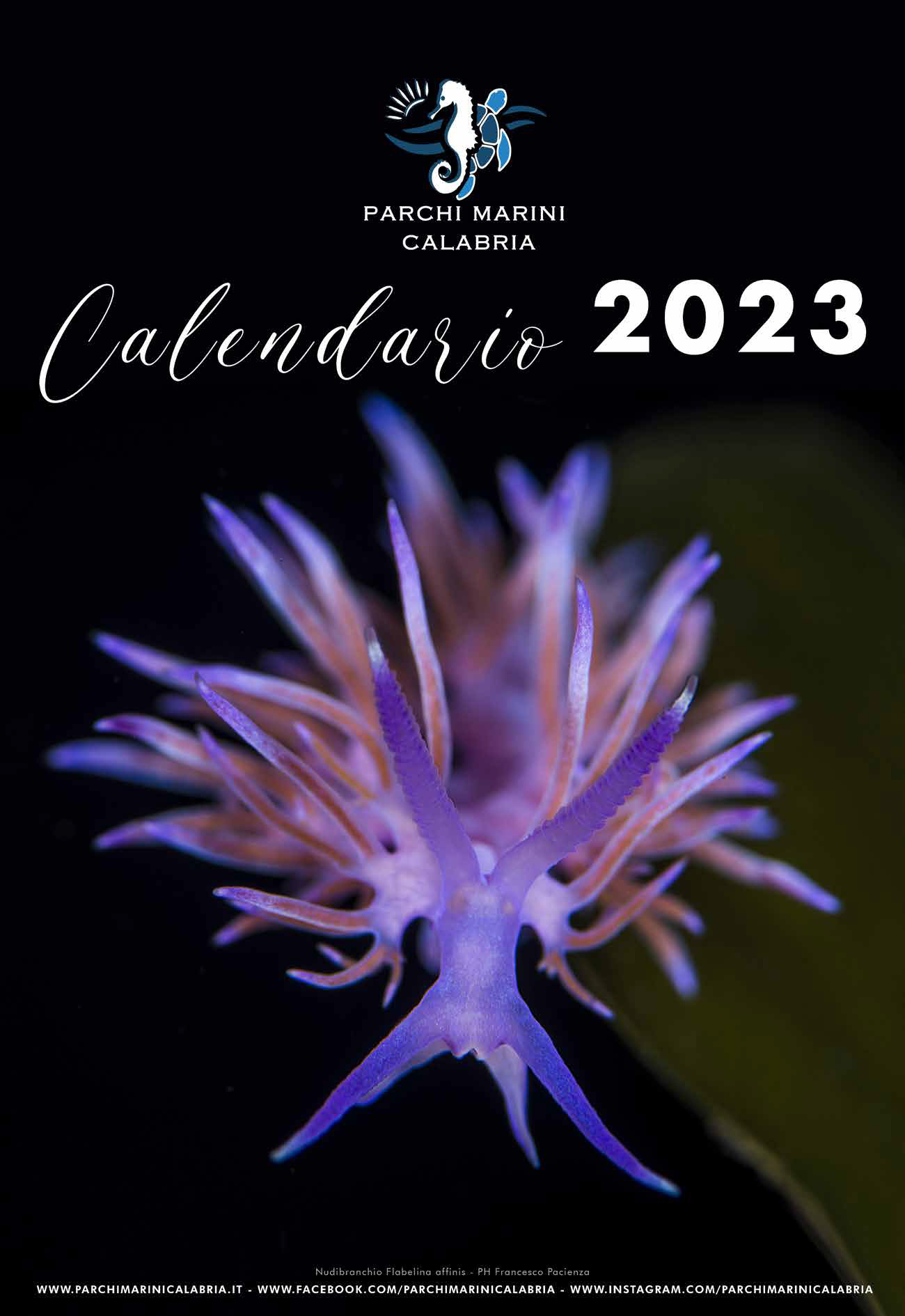 Calendario Parchi Marini Calabria 2023