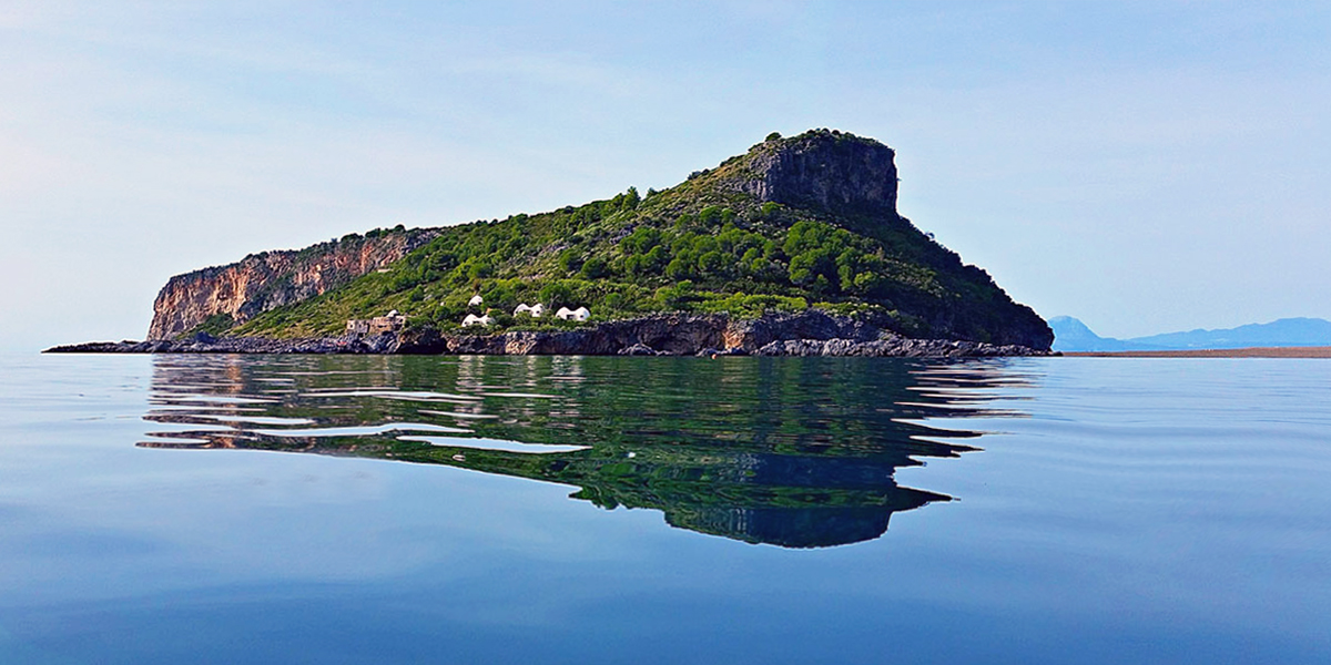 ZSC_Isola_Dino_Ente_Parchi_Marini.jpg