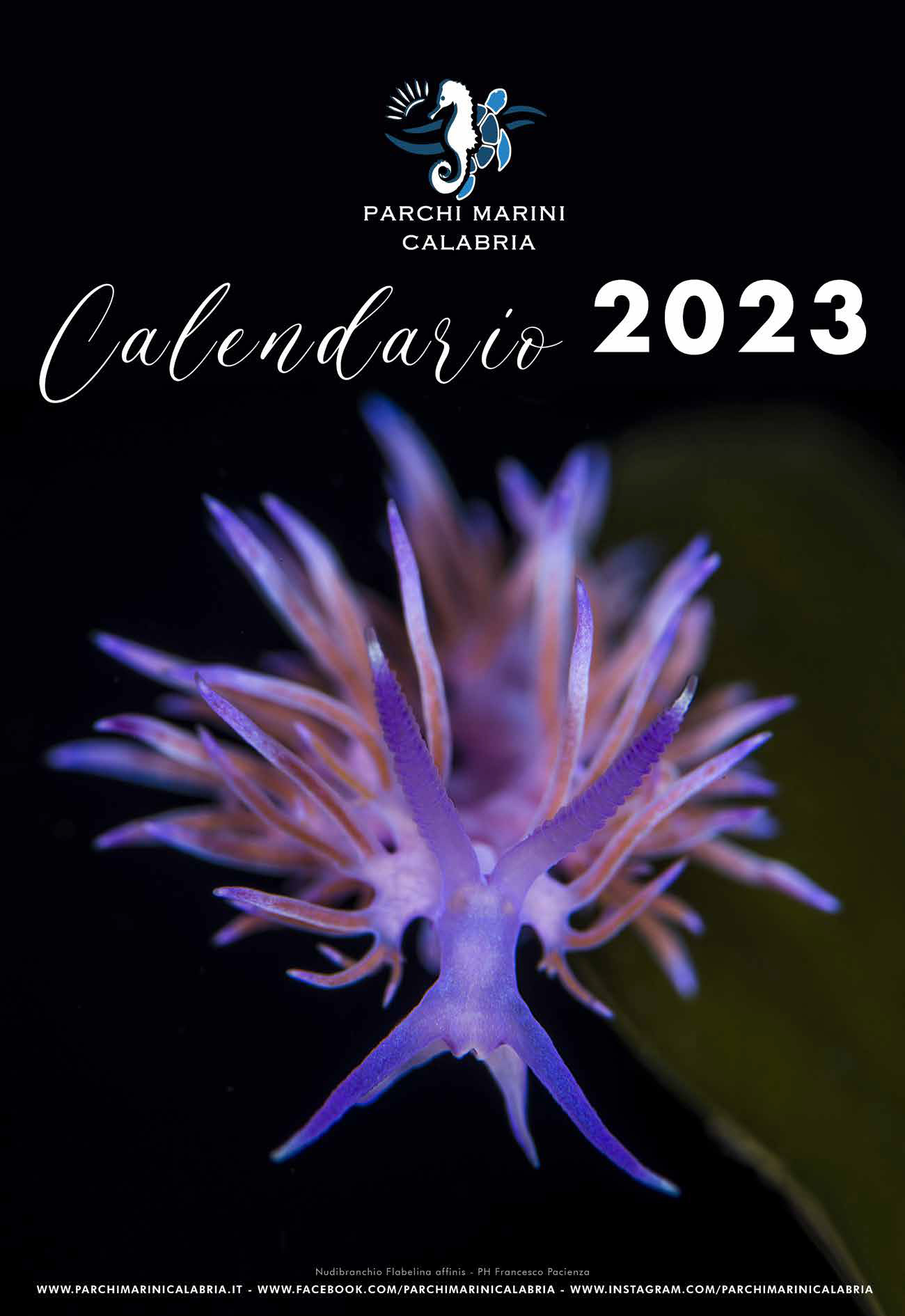 calendario pagina 01